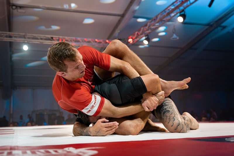 Brazilian Jiu-Jitsu Training Image